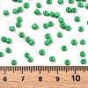 8/0 Baking Paint Glass Seed Beads SEED-R051-07B-09-3