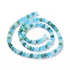 Glass Beads Strands GLAA-E036-09G-3