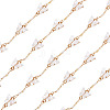 1M Handmade Acrylic Butterfly Link Chains CHC-TA0001-24B-3