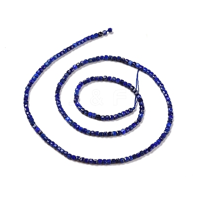 Natural Lapis Lazuli Beads Strands G-C009-B08-1
