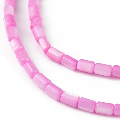 Natural Freshwater Shell Dyed Beads Strands SHEL-M018-12-10-1