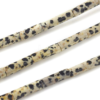 Natural Dalmatian Jasper Beads Strands G-F247-21-1