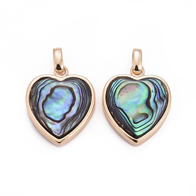 Natural Abalone Shell/Paua ShellCharms BSHE-F011-04B-G-1