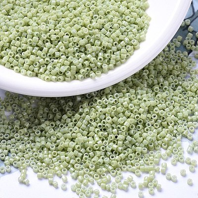 MIYUKI Delica Beads SEED-MY11-DB2123-1