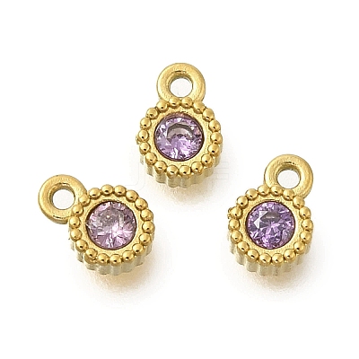 304 Stainless Steel Micro Pave Cubic Zirconia Charms STAS-U027-02G-09-1