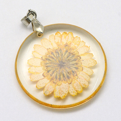 Alloy Resin Pendants LS-RESI-S321-06-1