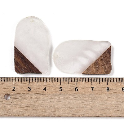 Resin & Wood Pendants WOOD-F015-13C-1