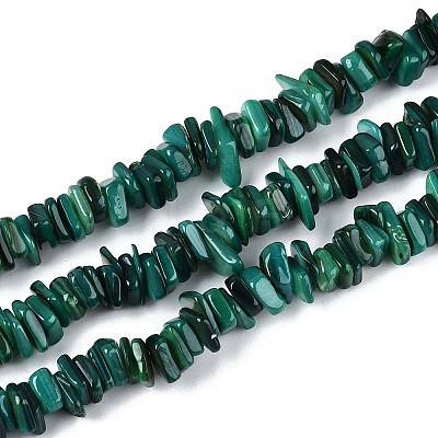 Natural Freshwater Shell Beads Strands SHEL-T020-41-1