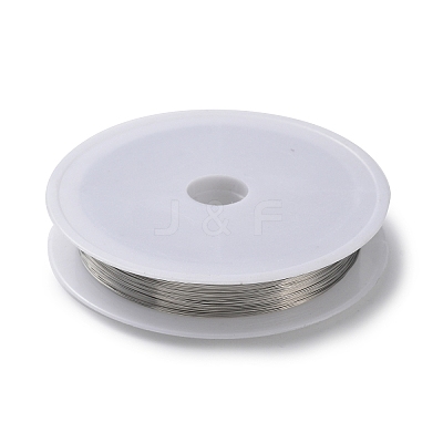 Non-Tarnish 10 Rolls 304 Stainless Steel Wire TWIR-H001-01B-P-1
