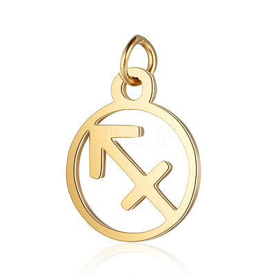 201 Stainless Steel Charms STAS-T036-T513-9-1