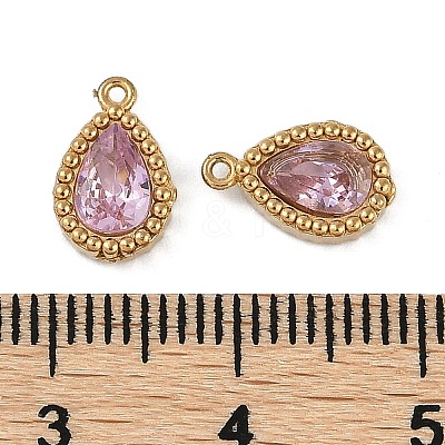 Ion Plating(IP) 304 Stainless Steel Micro Pave Cubic Zirconia Charms STAS-K256-20G-06-1