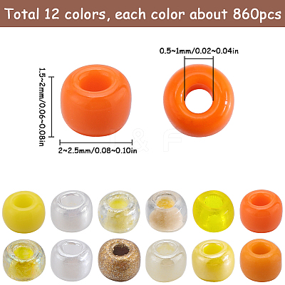 156g 12 Style Glass Seed Beads SEED-SC0001-32A-04-1