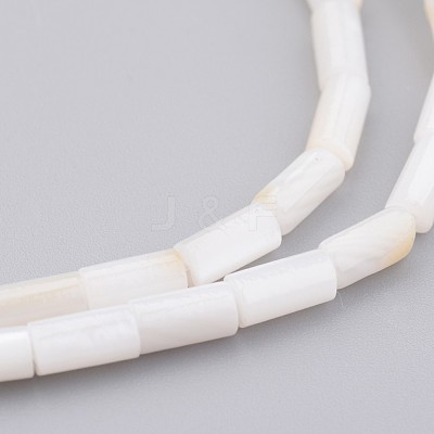 Natural Shell Bead Strands X-BSHE-P016-05-1