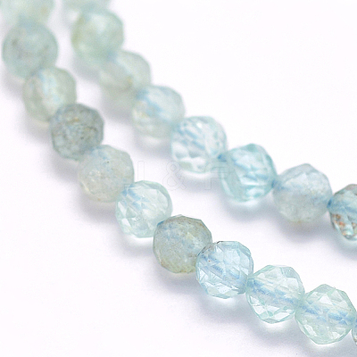 Natural Apatite Beads Strands G-I156-05-2mm-1