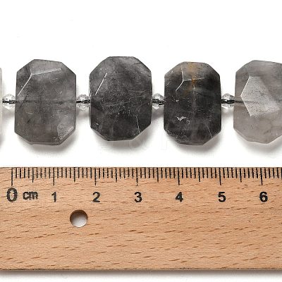 Natural Cloudy Quartz Beads Strands G-H078-B17-01-1