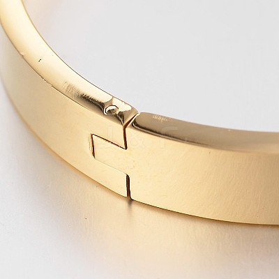 Elegant 304L Stainless Steel Bangles BJEW-F181-11-1