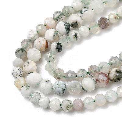 Natural Tree Agate Beads Strands G-RM250104-D6-1