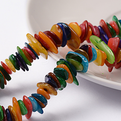 Natural Shell Chip Beads Strands SHZM007-1