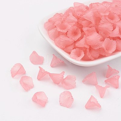 Transparent Acrylic Beads PL622-C10-1