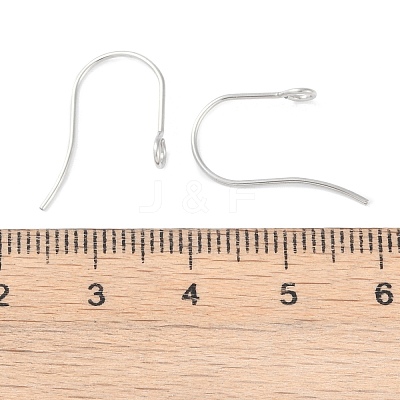 Tarnish Resistant 316 Surgical Stainless Steel Earring Hooks X-STAS-P162-13P-B01-1