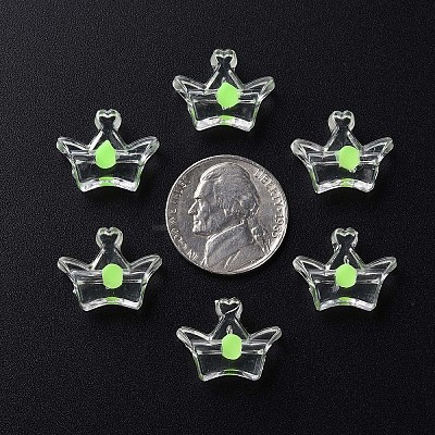 Transparent Acrylic Beads LS-MACR-S373-105-B06-1