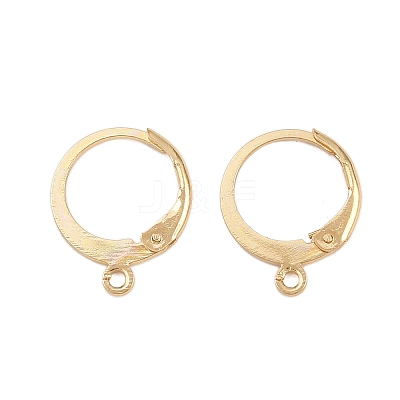 304 Stainless Steel Leverback Earring Findings LS-STAS-F141-02G-1