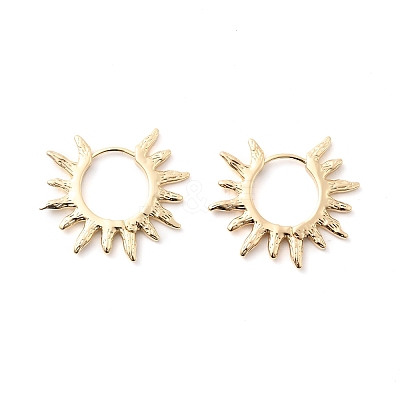 Brass Hoop Earrings EJEW-Z143-01G-1