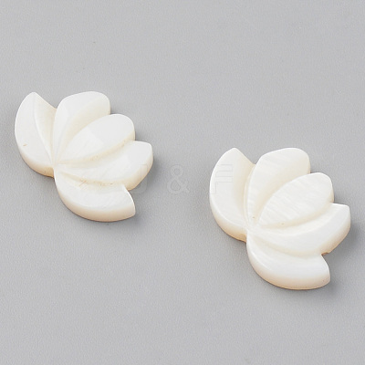 Natural Freshwater Shell Beads X-SHEL-S276-103-1