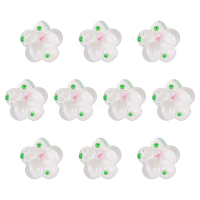 10Pcs Handmade Lampwork Beads LAMP-TADJ0001-01B-1