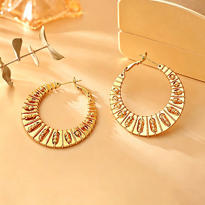 Brass Hoop Earrings for Women WG4C465-01-1