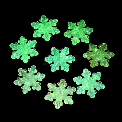 Luminous Transparent Acrylic Beads LACR-U001-06-1