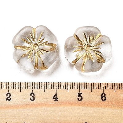 Metal Enlaced Transparent Acrylic Beads MACR-M045-03-1