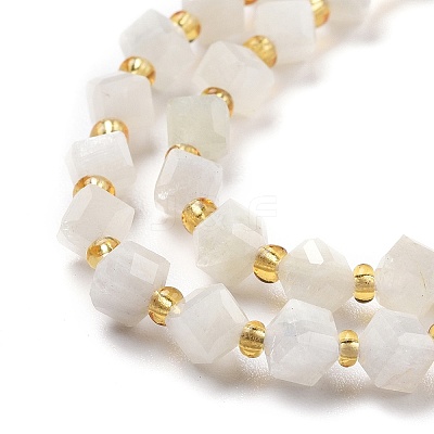 Natural White Moonstone Beads Strands G-P463-16-1