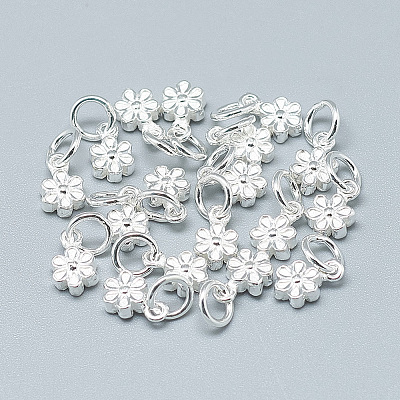 925 Sterling Silver Charms STER-T002-104S-1