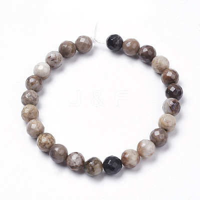Natural Silver Leaf Jasper Beads Strands G-K181-10mm-O01-1