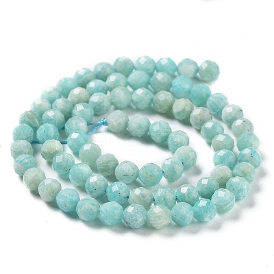 Natural Amazonite Beads Strands LS-G-J400-E11-04-1