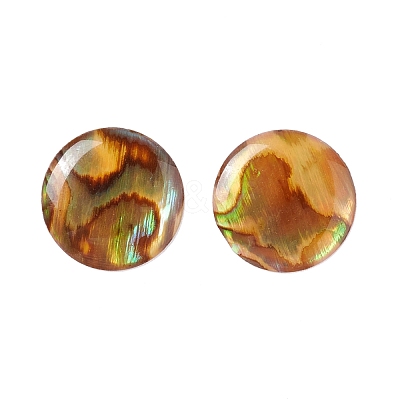 Paua Shell Cabochons SSHEL-C008-08-1