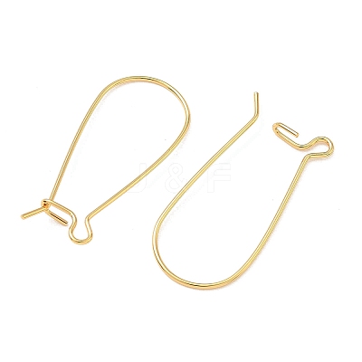 SHEGRACE Brass Kidney Ear Wire XGR0004G-43G-1