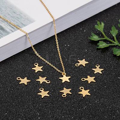 304 Stainless Steel Charms X-STAS-F159-43G-1