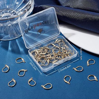 50Pcs 304 Stainless Steel Leverback Earring Findings STAS-BBC0001-44G-1