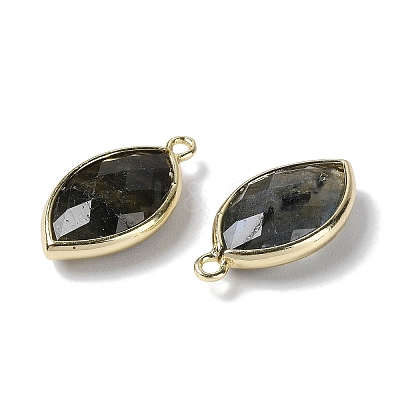 Natural Labradorite Pendants G-B009-01G-R-1