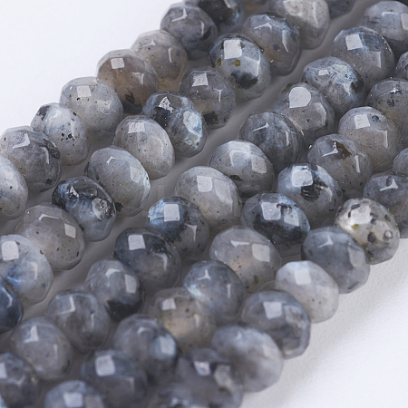 Natural Larvikite Beads Strands G-K255-19-1