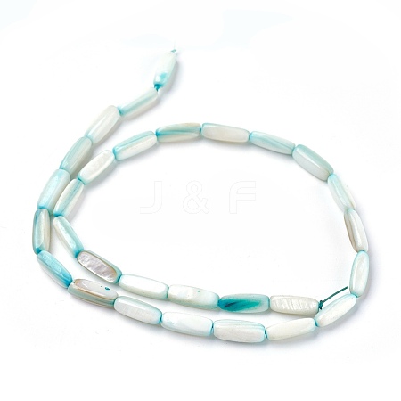 Freshwater Shell Beads Strands BSHE-O017-03A-1