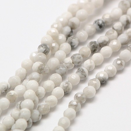 Natural Howlite Beads Strands G-A129-3mm-14-1