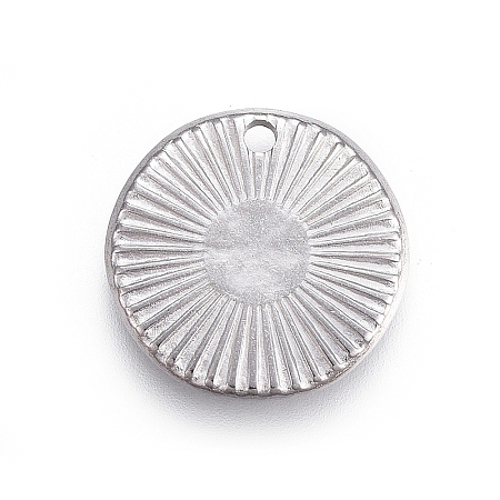 Non-Tarnish 304 Stainless Steel Charms LS-STAS-I117-11P-1