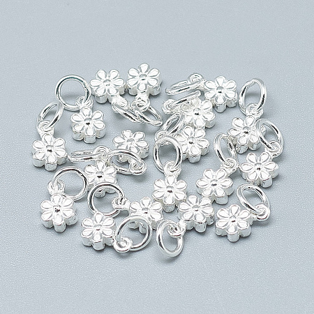 925 Sterling Silver Charms STER-T002-104S-1
