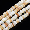Natural Freshwater Shell Beads Strands X-SHEL-S278-067G-1