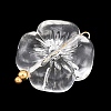 Transparent Acrylic & Stainless Steel Pendants TACR-G051-01G-02-2
