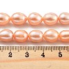 Natural Cultured Freshwater Pearl Beads Strands PEAR-P062-17A-5