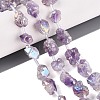 Electroplate Raw Rough Natural Amethyst Beads Strands G-Q610-06F-1